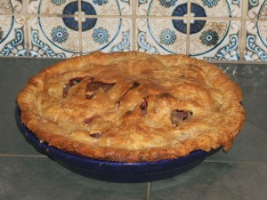 Homemade Apple Cranberry Pie