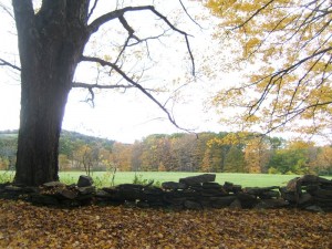 Autumn Field, Dummerston, Vermont